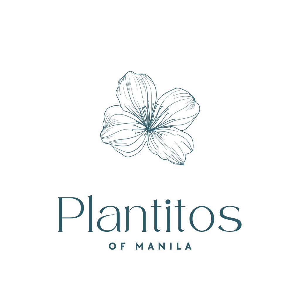 Plantitos of Manila Tee