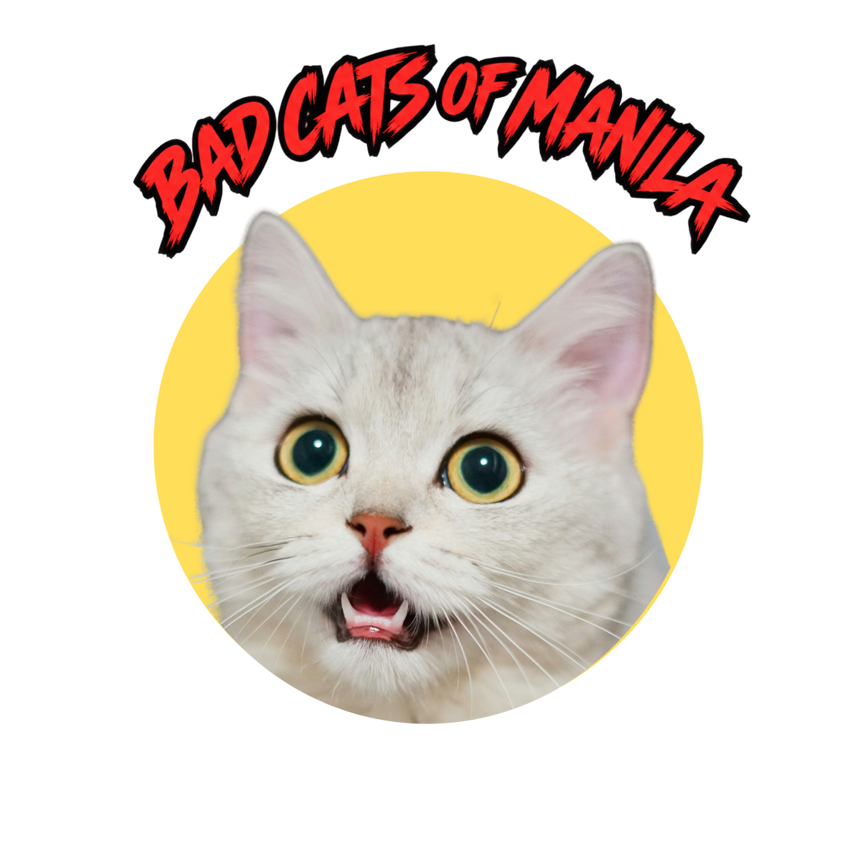 Bad Cats of Manila Tee