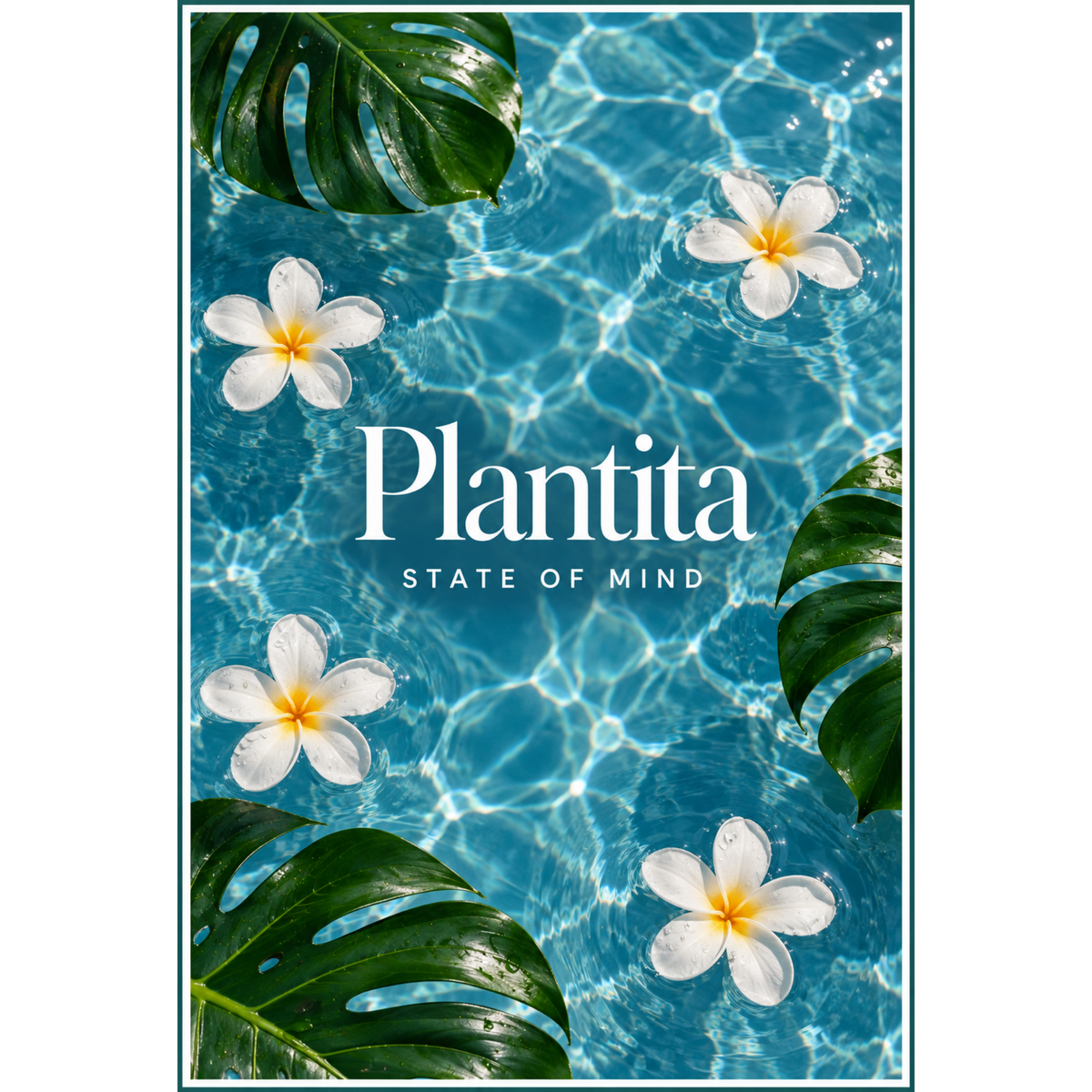 Plantita State of Mind Tee