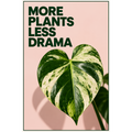 More Plants Less Drama Tee